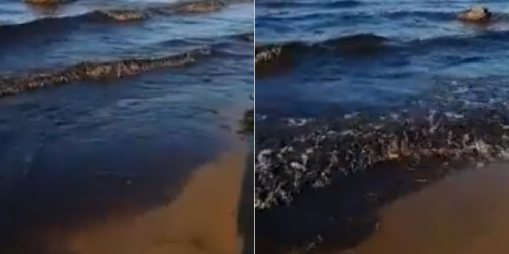 "Это не похоже на водоросли или грязь": озеро Байкал почернело, а в воздухе запахло мазутом
