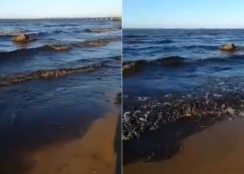 "Это не похоже на водоросли или грязь": озеро Байкал почернело, а в воздухе запахло мазутом