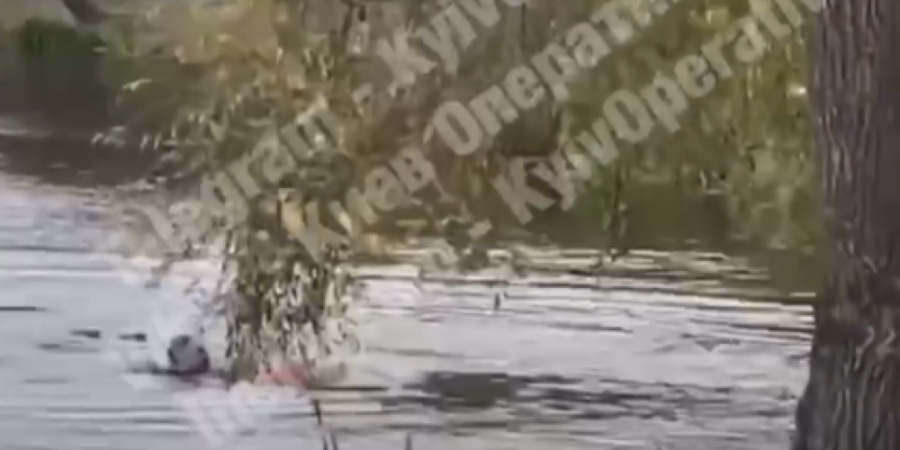 Случайный прохожий бросился в озеро и спас ребенка: героический поступок попал на видео