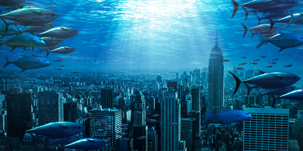 Стало известно, какие города могут уйти под воду и исчезнуть с лица Земли в 2030 году