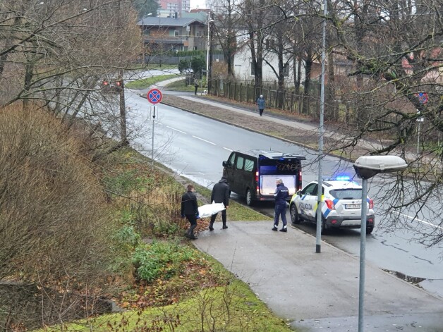 Valsts policija (VP) skaidro notikušo.