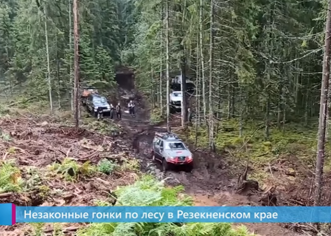Незаконные гонки на внедорожниках в латгальском лесу: нарушителей будет искать полиция