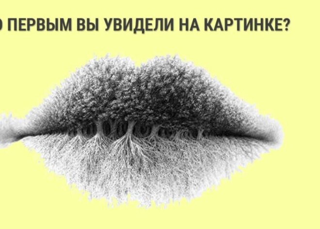 Что вы видите на картинке: психологический тест на личностные качества