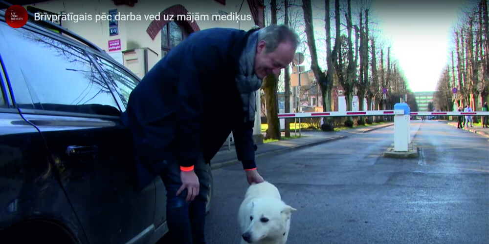 Мир не без добрых людей! Рижанин и его собака помогают медикам добираться до дома по вечерам