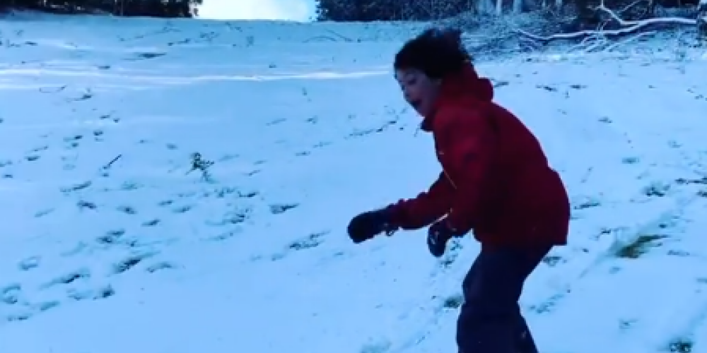 Instagram @paulinefietz