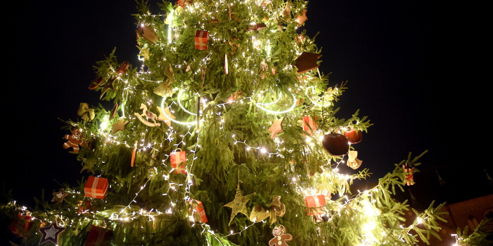 Стало известно, когда в Риге засияют главные рождественские елки