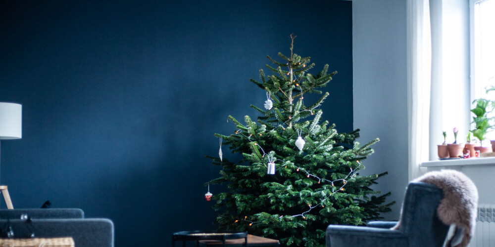 Baltie Ziemassvētki ar nelielu devu dramatiskuma: kādas krāsas šogad modē svētku interjerā