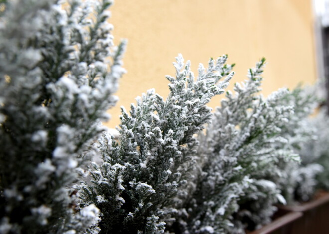 Гороскоп на декабрь 2021 года для всех знаков зодиака