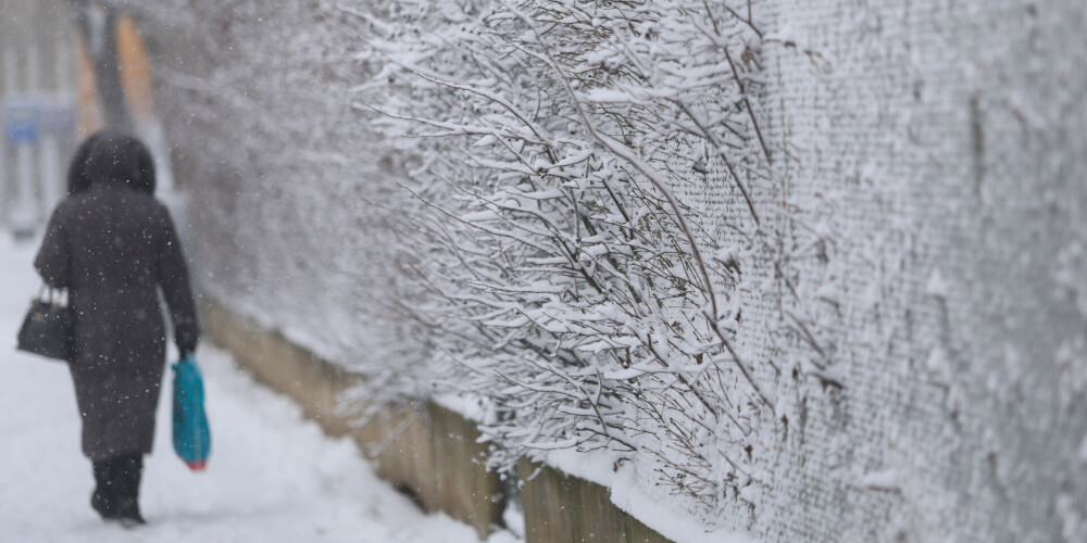 Stiprās snigšanas un apledojuma dēļ Latvijas austrumos iespējami elektroapgādes traucējumi