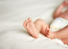 Иллюстративное фото