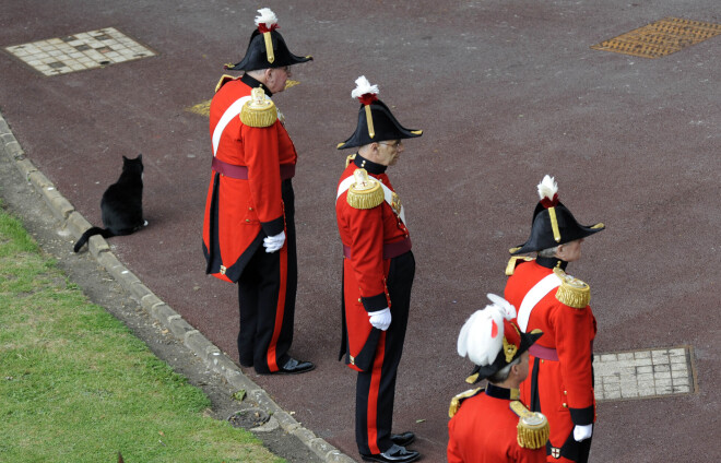 Ja labi uzvedas, murrātāji var piedalīties arī britu karaļnama ceremonijās.