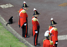 Ja labi uzvedas, murrātāji var piedalīties arī britu karaļnama ceremonijās.