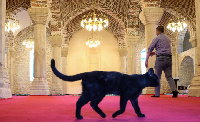 Kaķi Kalnu Karabahā apmeklē arī dievlūgšanas, kas veltītas militāro operāciju noslēgumam.