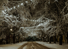 Siguldas novads aicina ziemu baudīt kampaņā “Vienmēr ir, kur iet". FOTO