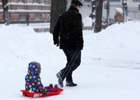 Иллюстративное фото