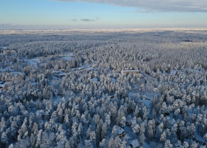 На этой неделе температура воздуха в Латвии поднимется до +7 градусов, к выходным похолодает