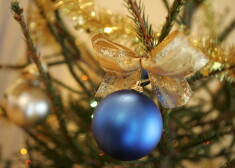 Не выкидывайте рождественские елки после праздников! Clean R их бесплатно заберет и отвезет на переработку