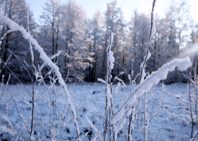 В течение дня температура воздуха постепенно понизится