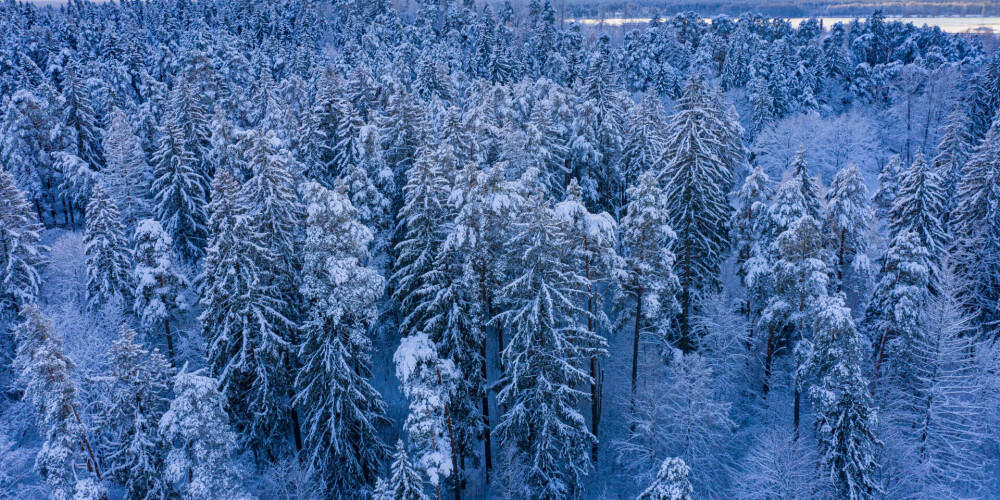 К вечеру толщина снежного покрова в Латвии увеличится на 10 см
