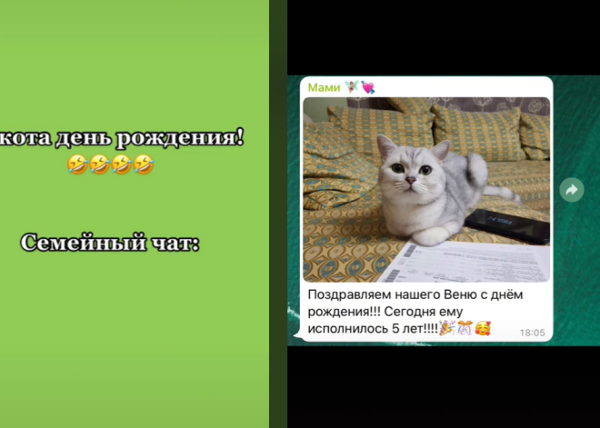 "Троллинг" деда, тост за кота и не только: блогер показала, как ее семья общается в чате в WhatsApp