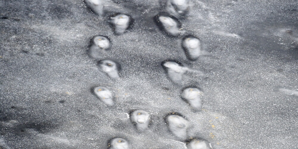 Иллюстративное фото