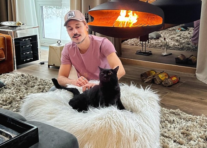 Вы это видели?! Дима Билан подарил коту собственный дом со спальней и золотыми портретами