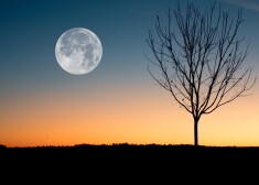 Посреди дня луна закроет солнце более чем наполовину: что можно будет увидеть в небе в 2022 году?