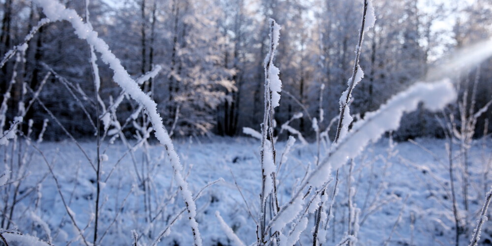 В воскресенье в Латвии ожидается сильный снег, синоптики предупреждают о ледяном дожде