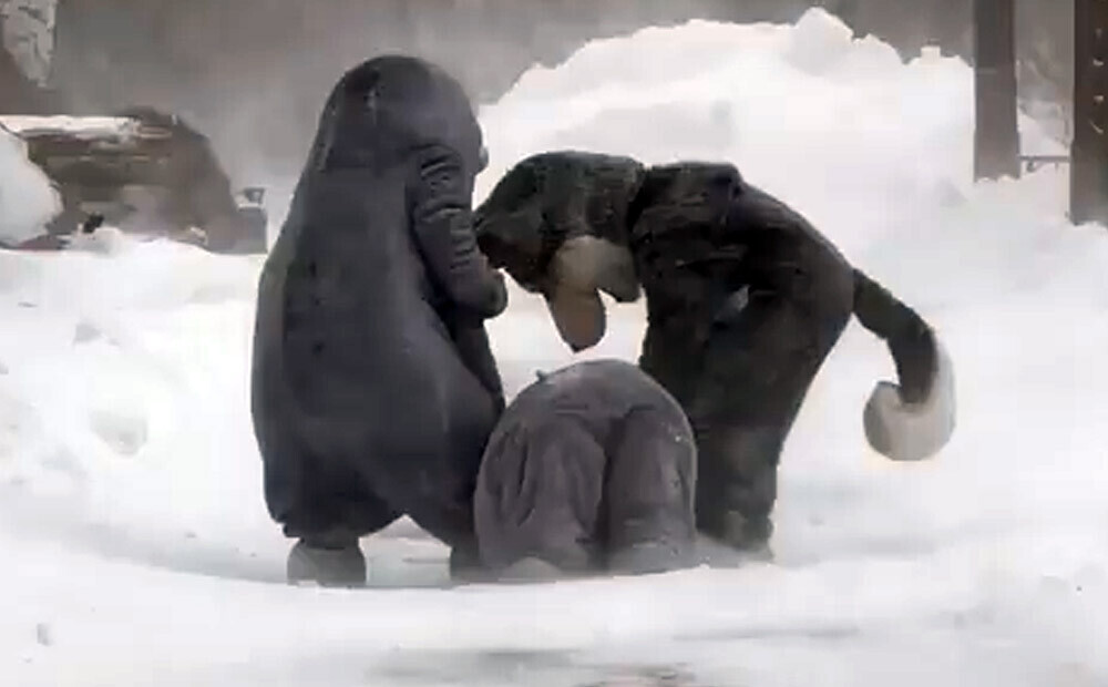 Soctīklos smieklu vētru izraisa video no Kamčatkas, kur Vecgada dienā redzami jau svētkiem iesiluši cilvēki dzīvnieku kostīmos