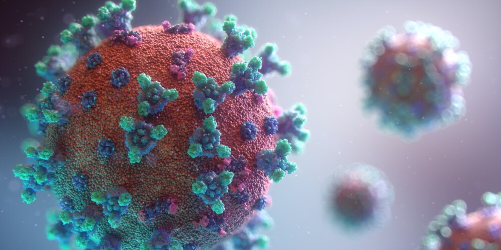 Еще один! Новый штамм коронавируса обнаружили во Франции