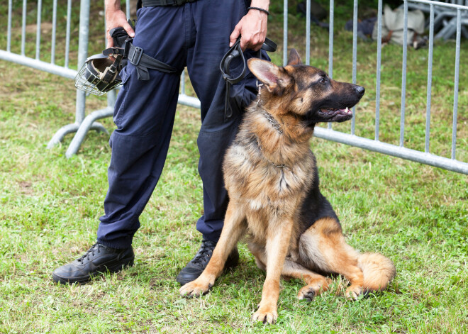 "Esam atvērti inovatīvām mācību metodēm, bet tādas nezinām," vairāki Vācijas policijas suņi nosūtīti “atvaļinājumā” pēc jauna likuma ieviešanas