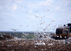 Тариф на захоронение несортированных бытовых отходов на полигоне Getliņi повышен на 87%
