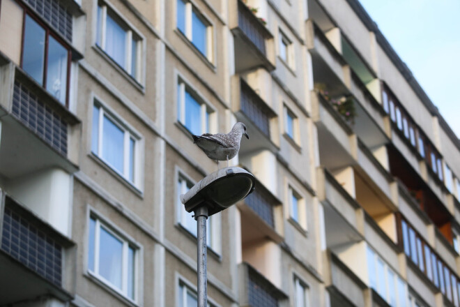 Vairāk nekā 25 gadus padomju laikā celto mikrorajonu dzīvokļu īpašniekiem nācās bez ierunām samierināties ar absurdo zemes piespiedu nomas maksu.