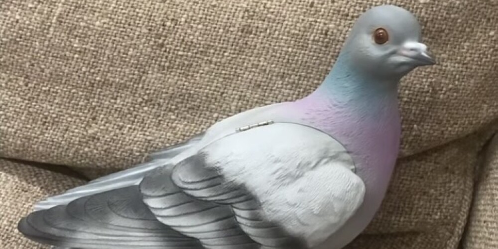 Самая удивительная сумка сезона — клач-голубь