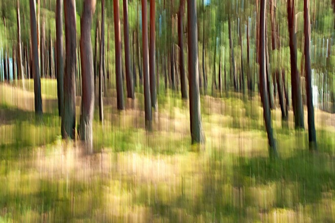 Jura Zēbera darbs “Daba, ritmi, prelūdija” no Latvijas Radošo fotogrāfu asociācijas foto izstādes “Iedvesmas prizma”.