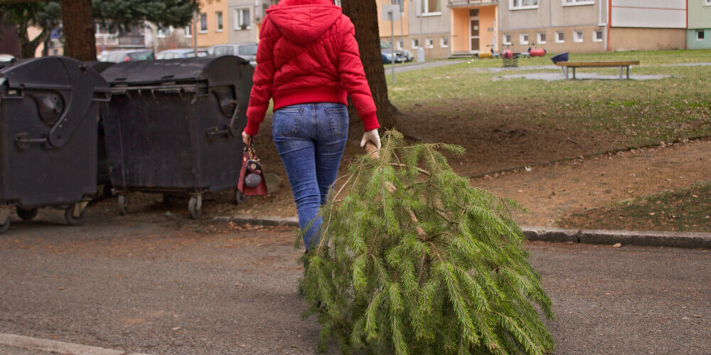 Когда и как нужно убирать елку, чтобы уберечь свой дом от бед