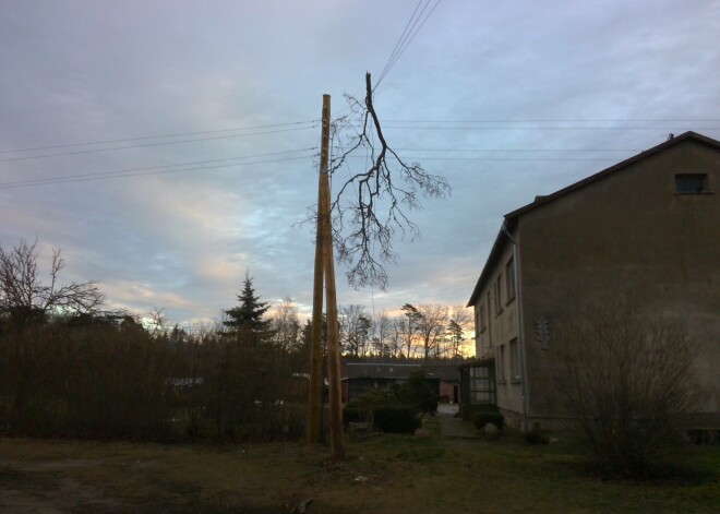 FOTO: koki uz elektrības vadiem un daudz kas cits: spēcīgais vējš radījis simtiem bojājumu