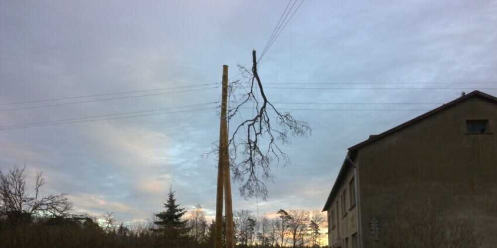ФОТО: деревья на проводах и многое другое - аварии и разрушения после сильного ветра в Латвии