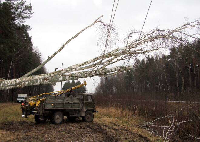 Spēcīgā vēja dēļ arī pirmdien daudzviet var pazust elektrība