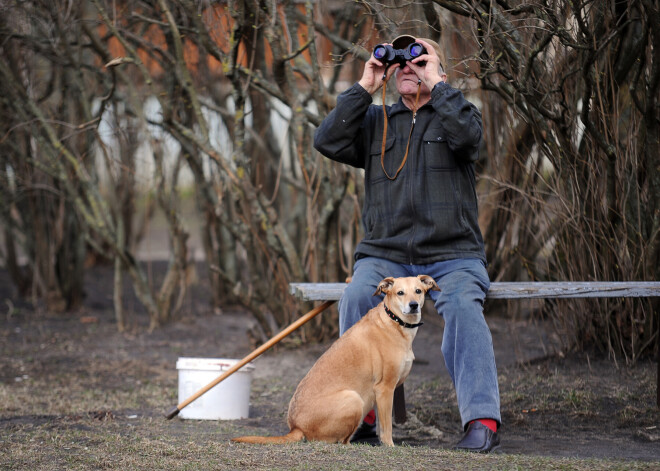 Пенсии свыше 500 евро в Латвии получает менее 20% пожилых людей