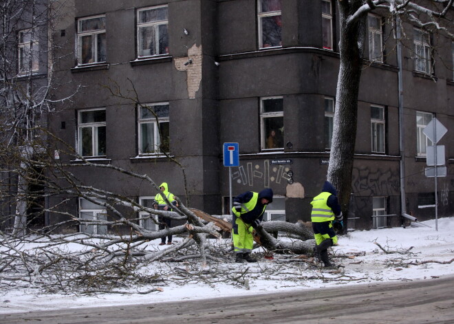 К вечеру понедельника спасатели получили примерно 200 звонков о повреждениях от сильного ветра