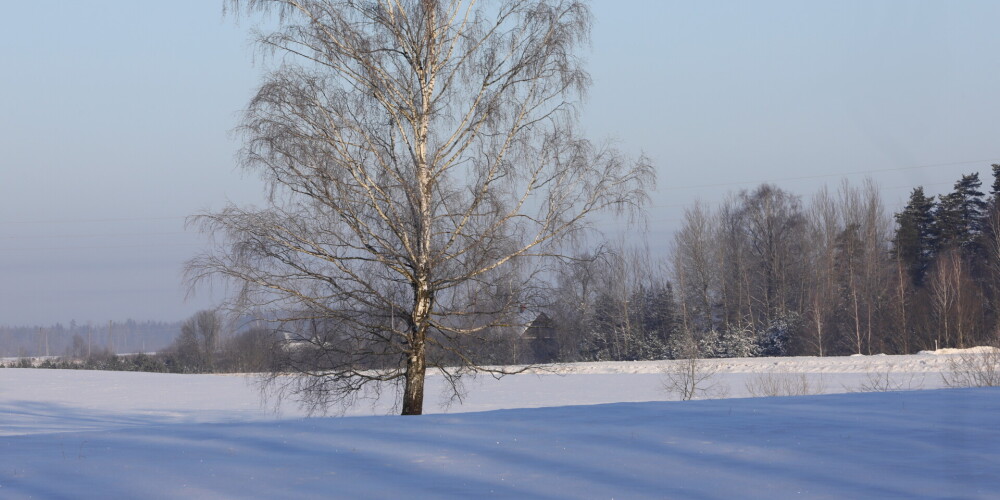 Otrdiena būs nedēļas saulainākā diena; braukšana apgrūtināta visā Latvijā