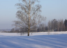 Otrdiena būs nedēļas saulainākā diena; braukšana apgrūtināta visā Latvijā