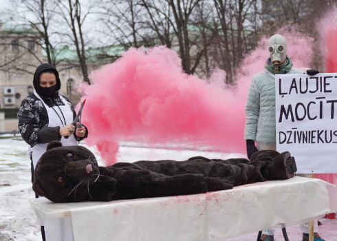 FOTO: dzīvnieku aizstāvji ar vizuālu performanci aicina deputātus aizliegt kažokzvēru audzēšanu Latvijā