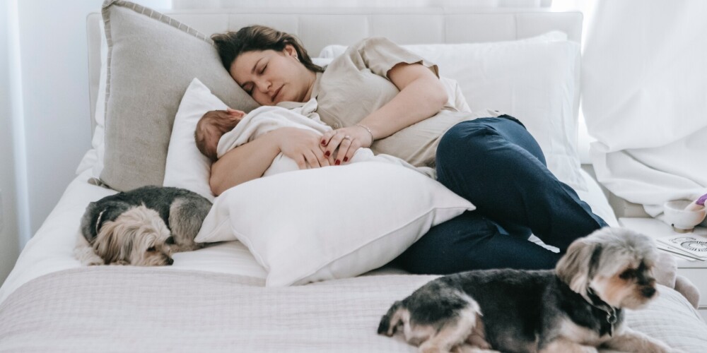 Kāpēc gulēšana vienā gultā ar savu mājdzīvnieku ir slikta ideja