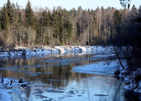 Ledus Gaujā pie Līgatnes.