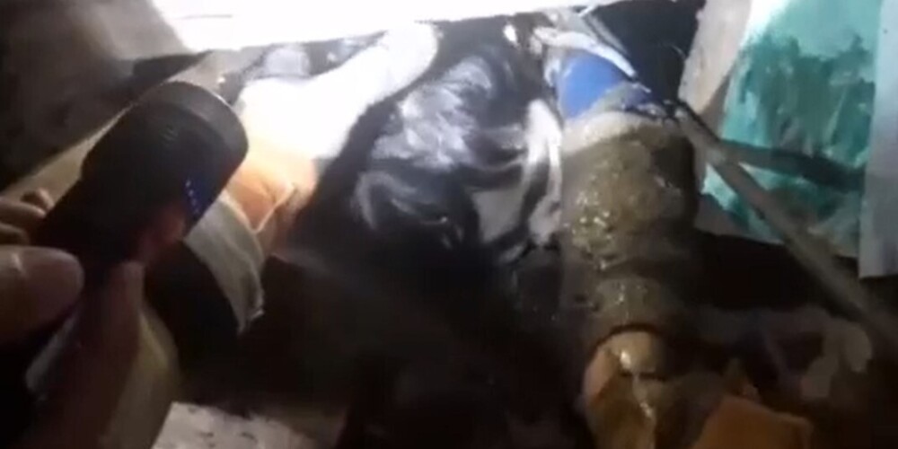 Спасение упавшего в выгребную яму ребенка сняли на видео