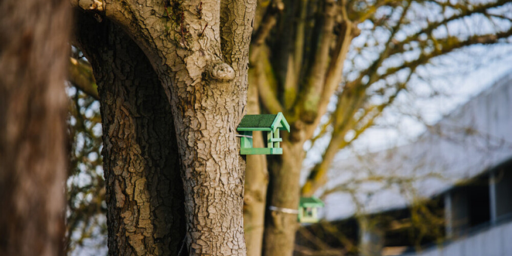 Кормушки для птиц Riga Plaza