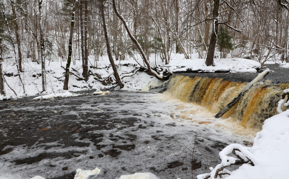 Vairākās Kurzemes upēs ūdens līmenis tuvojas pēdējo gadu augstākajai atzīmei