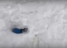 VIDEO: Sočos sniega lavīna "aprij" snovbordistu, kurš pēc tam izmisīgi māj ar roku